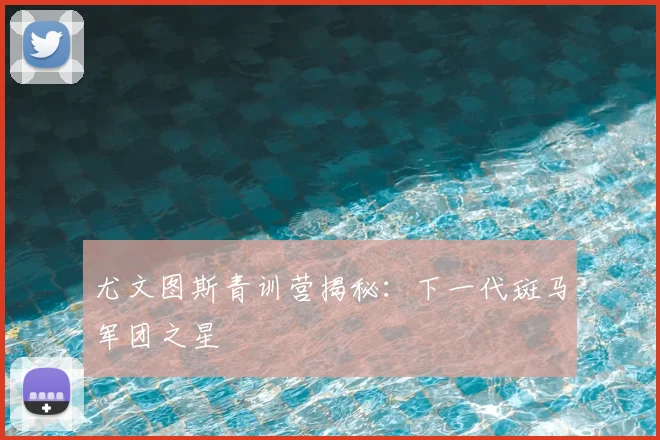 尤文图斯青训营揭秘:下一代斑马军团之星