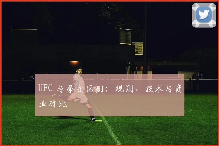 UFC 与拳击区别：规则、技术与商业对比